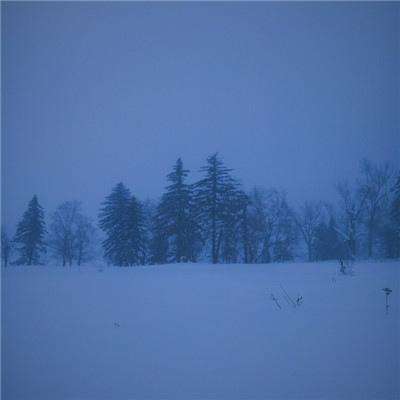 体育皇冠官网下载app